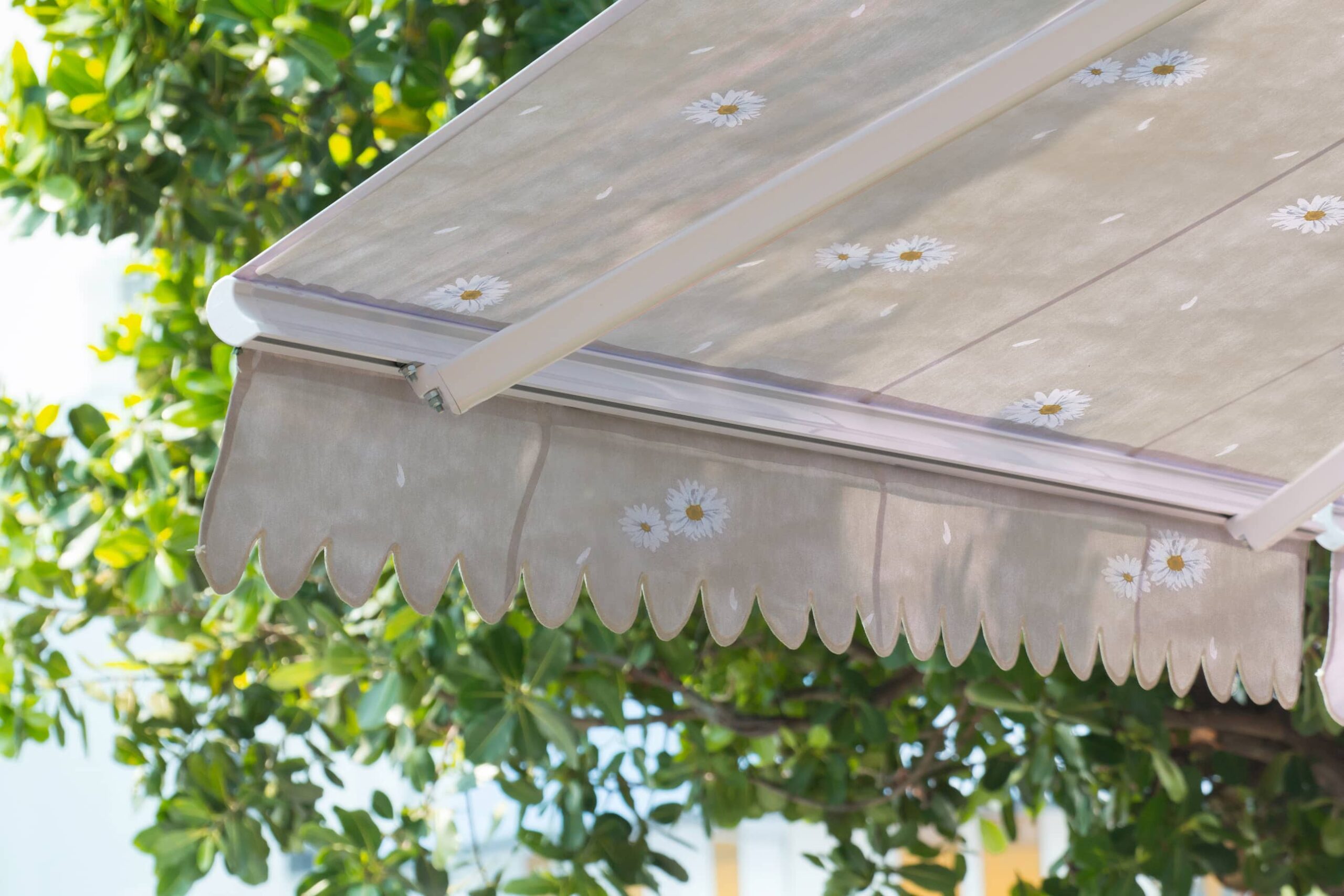 Τέντα με μαργαρίτες σε εξωτερικό χώρο με πράσινο στο φόντο